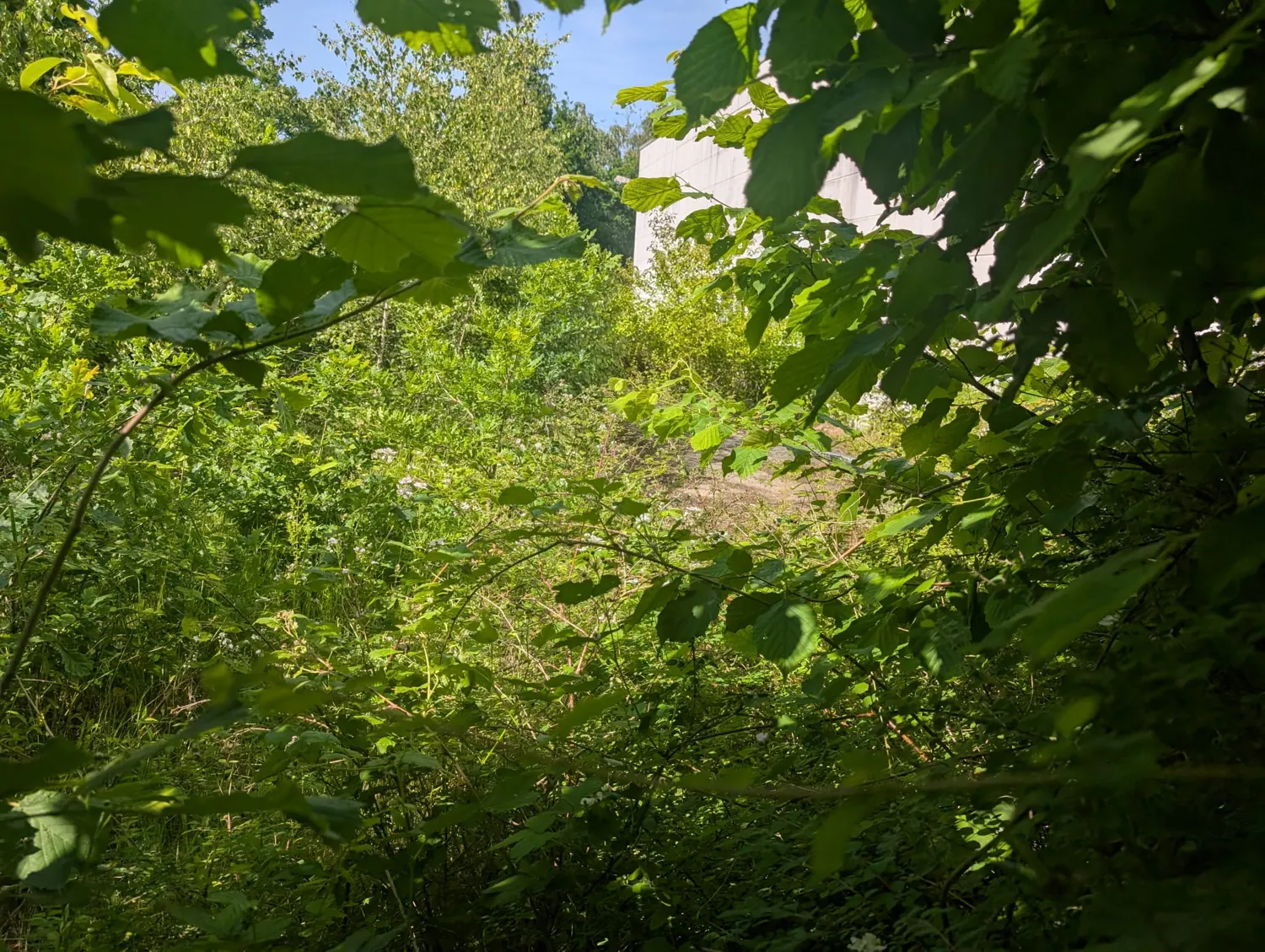 Naturnahe Firmengelände