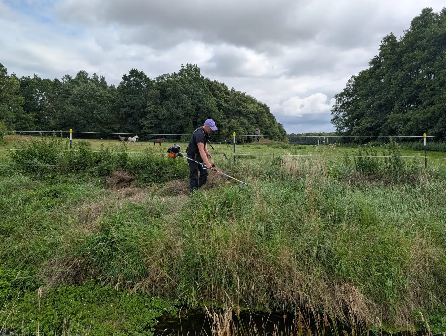 Arbeit vor Ort auf einer Naturfläche von eMission-X