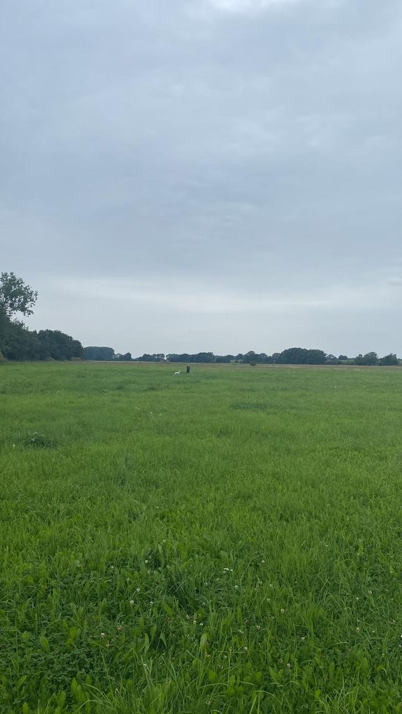 Wusseken Agrarfläche