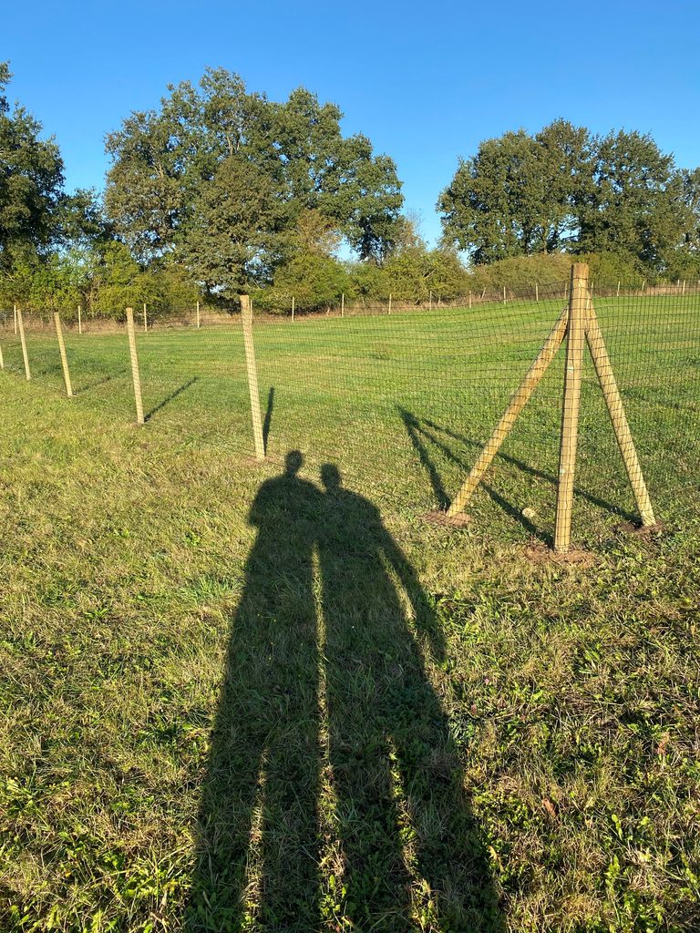 Zaunbauer im Schatten
