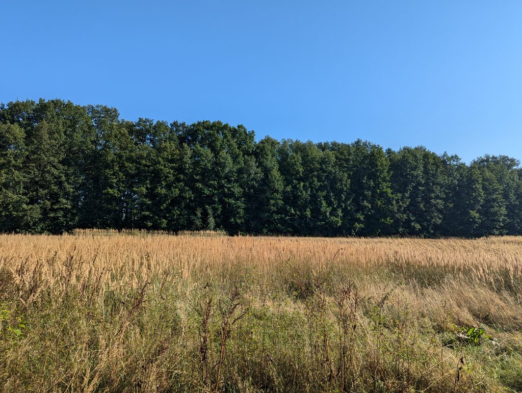 Löwenberger Land