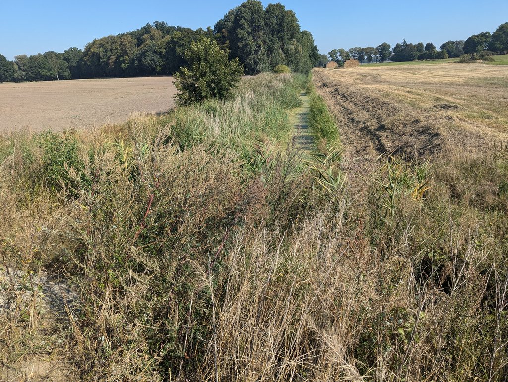 Löwenberger Land