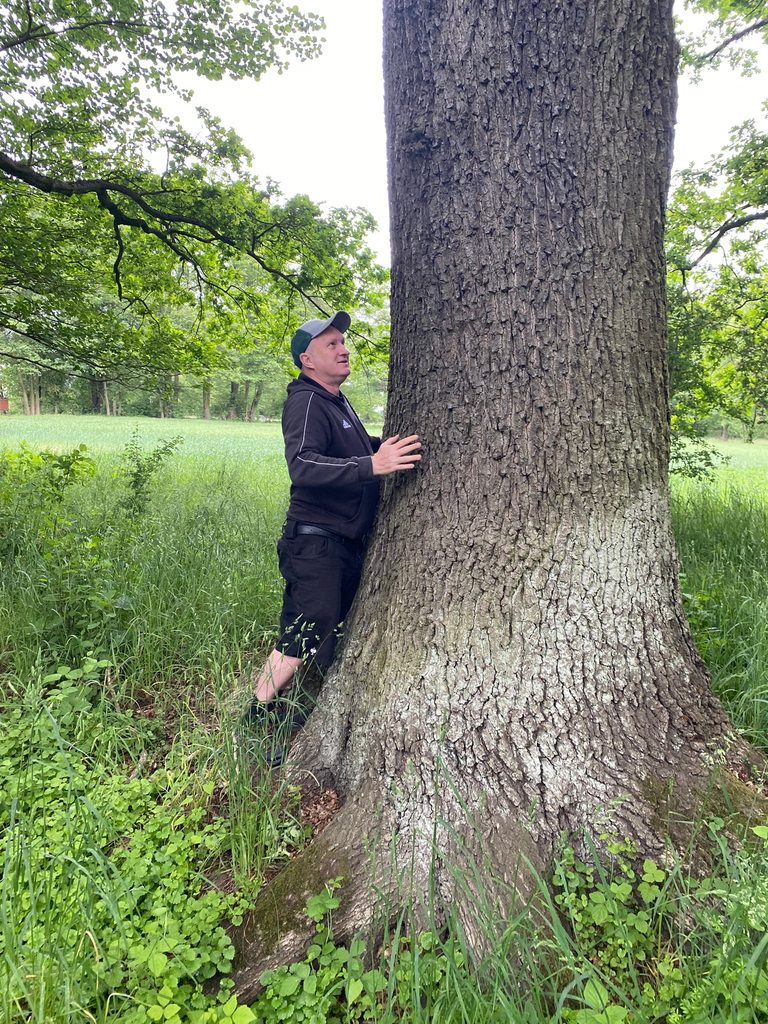 Wald bei Dissen