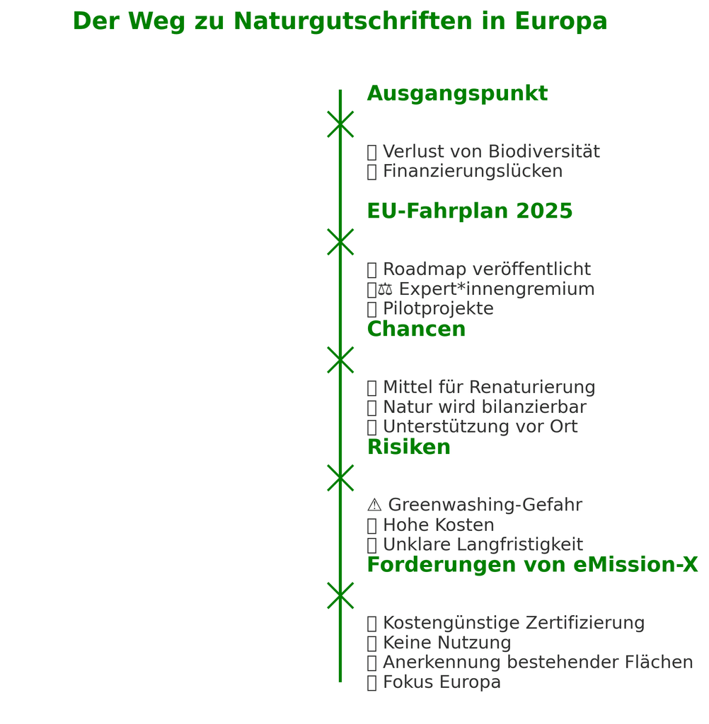 Roadmap towards Nature Credits