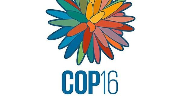 COP16