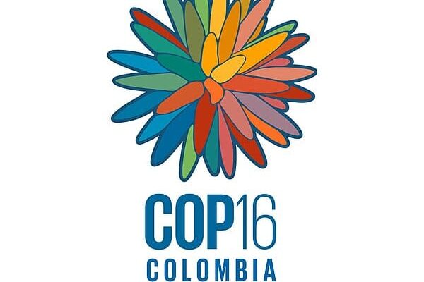 COP16