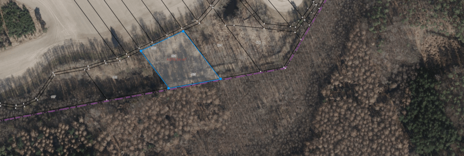 Fläche bei Viecheln