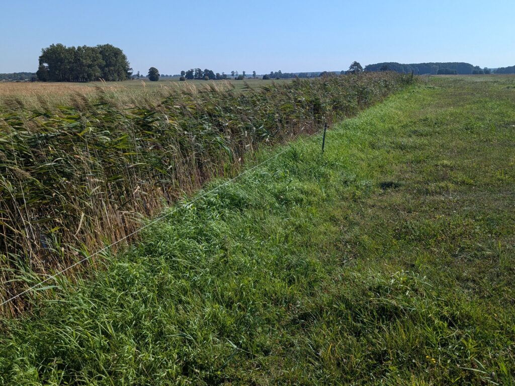 Löwenberger Land