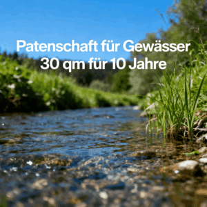Umweltfreundliches Wasser-Patenschaftsprojekt in Deutschland.