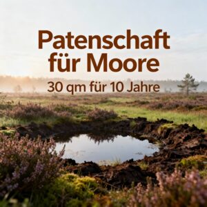 Patenschaften