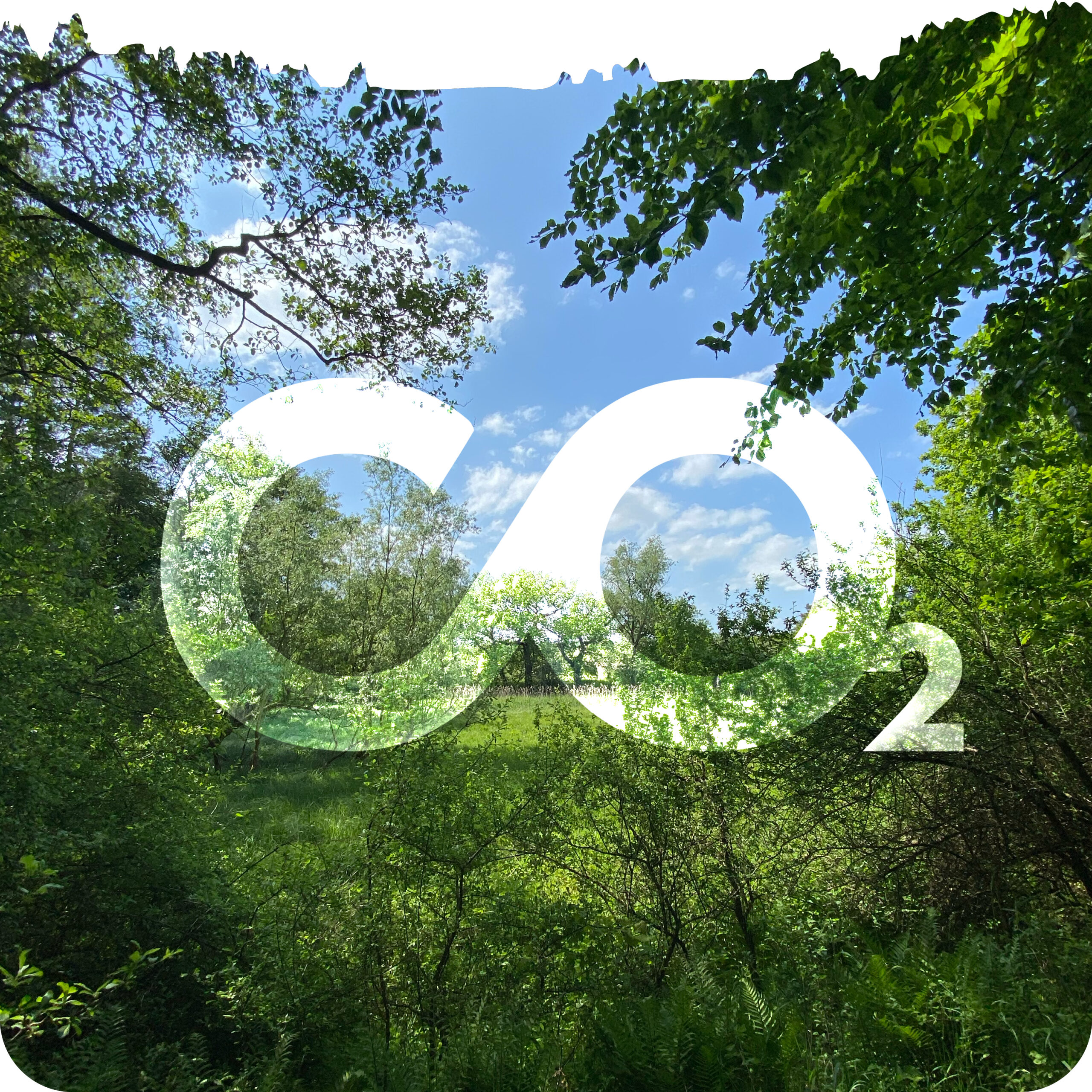 Co2 kompensieren