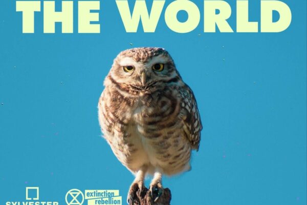 Rewild the world