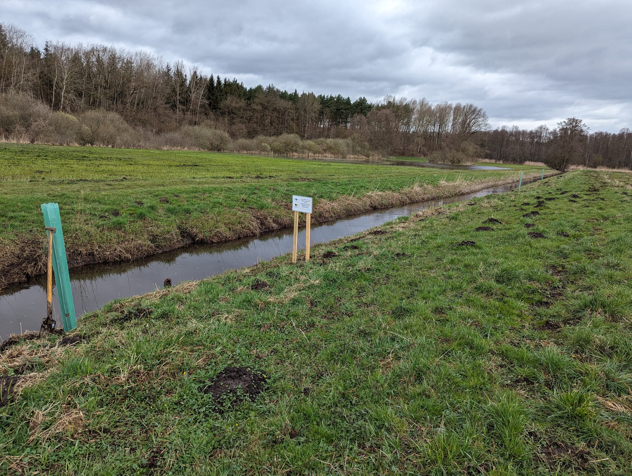 Anpflanzung IHK zu Lübeck