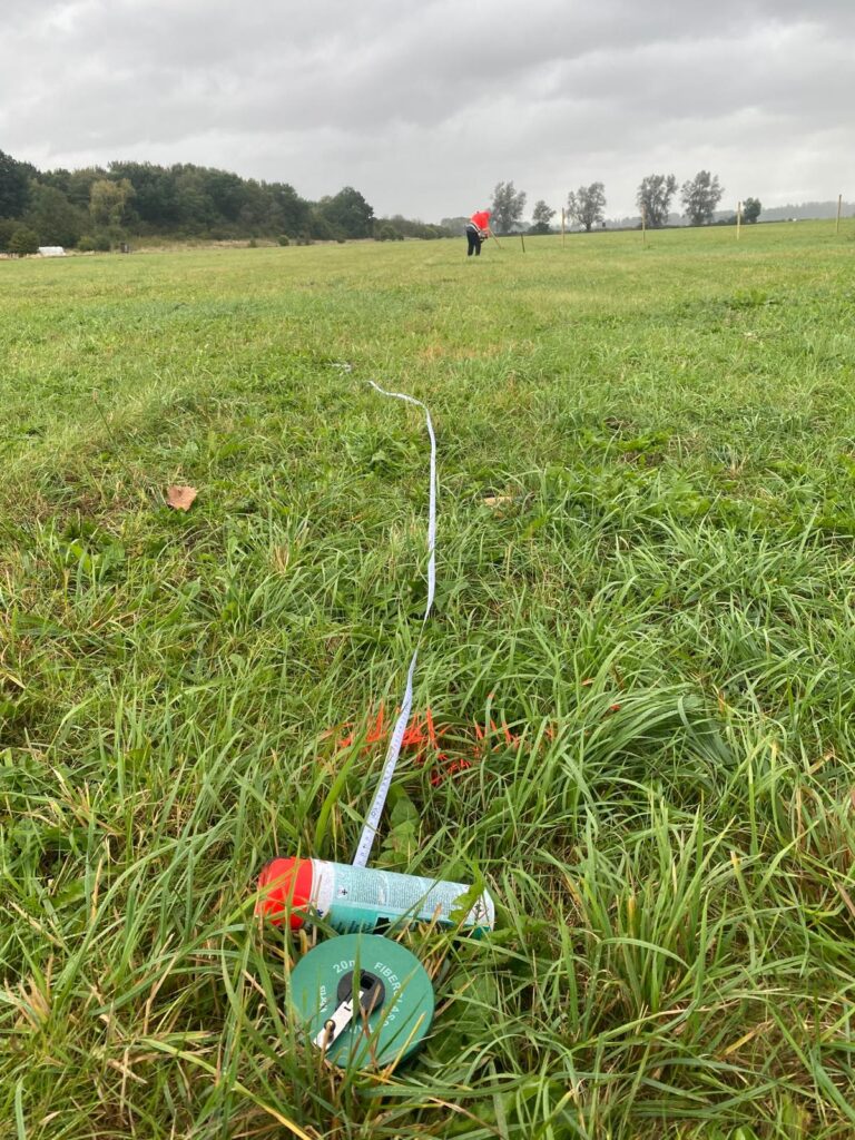 Rewilding Wusseken