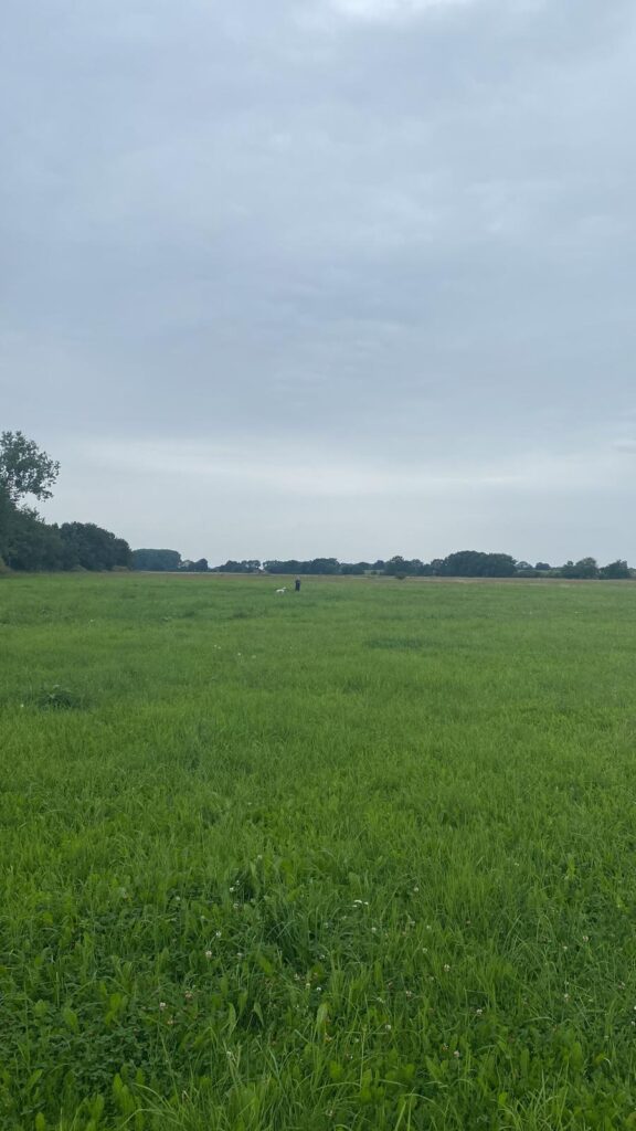 Wusseken