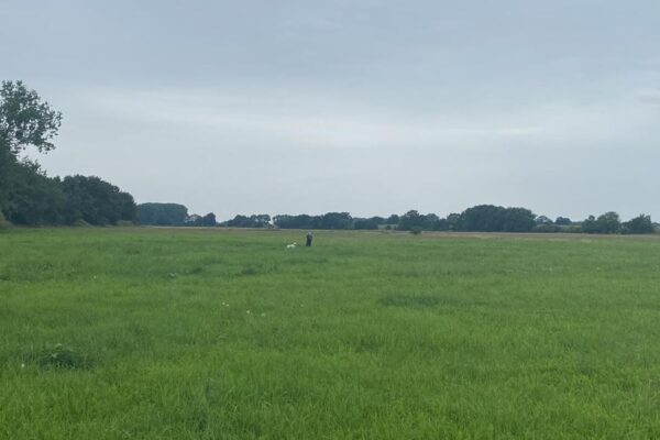 Wusseken