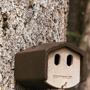 Nischenbrütherhöhle 1N