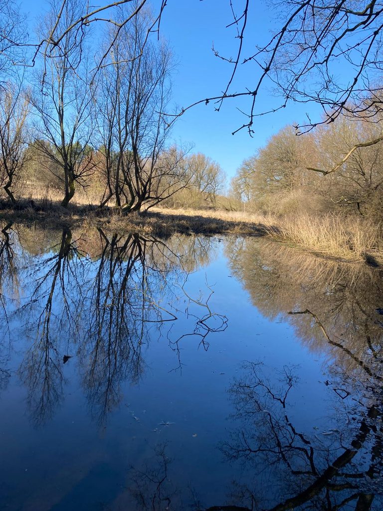 Dammbau Moor