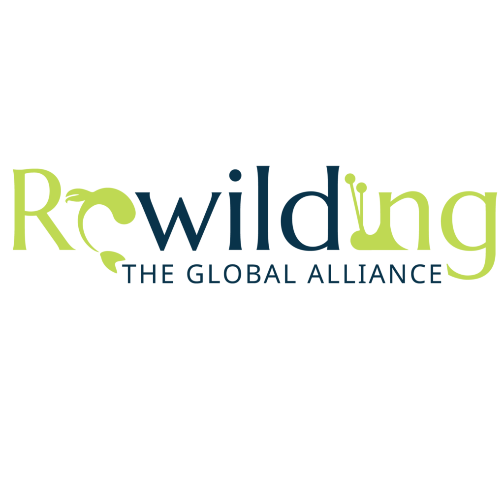 Global Rewilding Alliance – Website besuchen