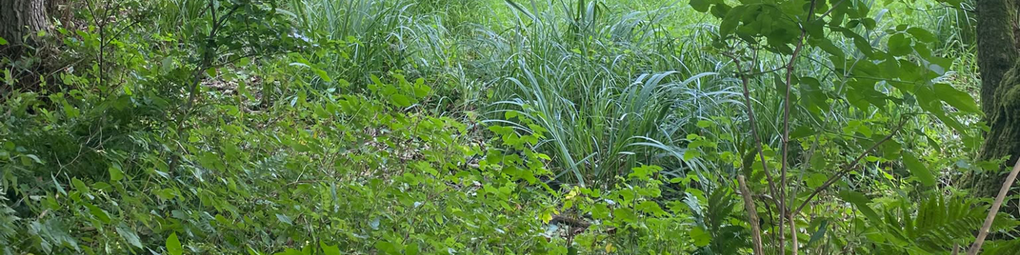 Feldarbeiten in Klein Breesen / Mecklenburg-Vorpommern