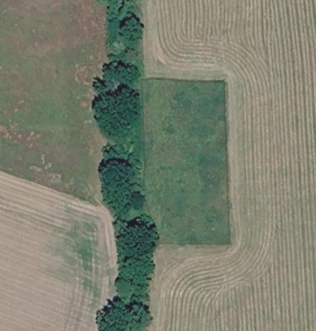 Rewilding Fläche Wusseken