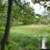 Klein Breesen Moor